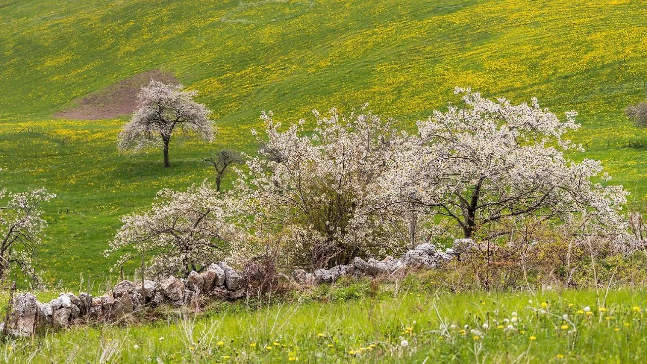 B&B Contrade Alte Sant'Anna d'Alfaedo